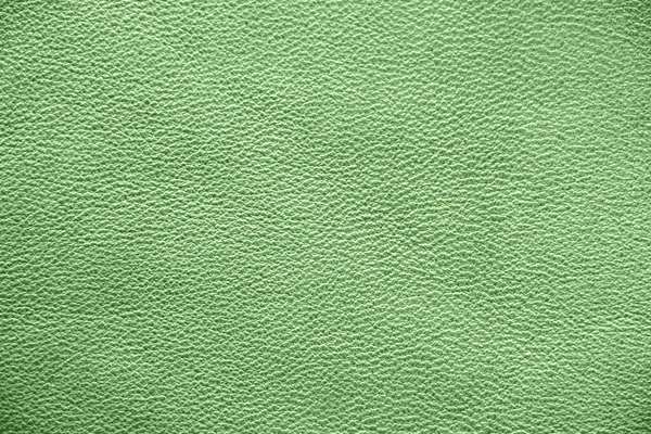 Natural leather texture. Green skin.