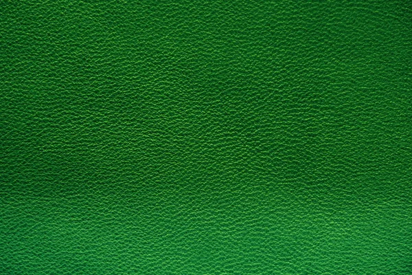 Natuurlijke Leertextuur Groene Huid — Stockfoto