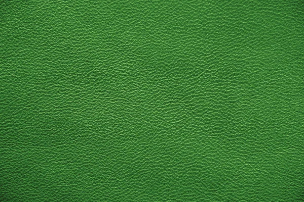 Texture Cuir Naturel Peau Verte — Photo