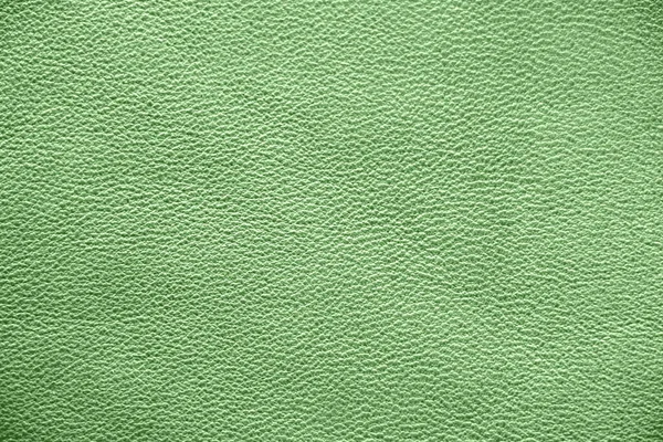 Natürliche Lederstruktur Grüne Haut — Stockfoto