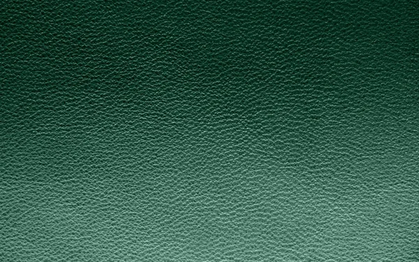 Textura Cuero Natural Piel Verde — Foto de Stock