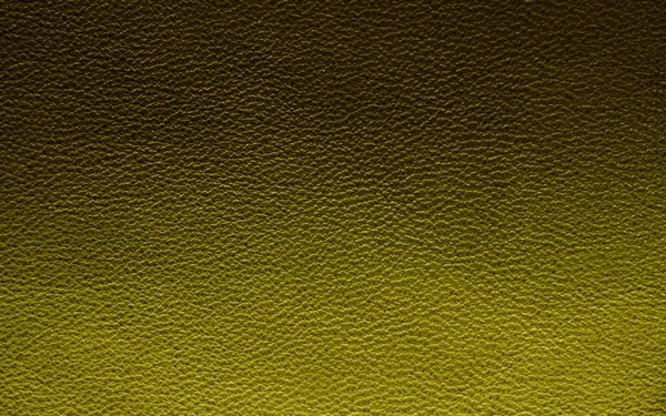 Natural leather texture. Green skin.