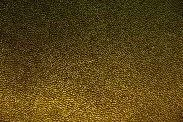 Textura Couro Natural Pele Verde — Fotografia de Stock