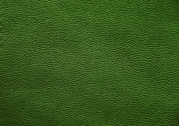 Natural leather texture. Green skin.