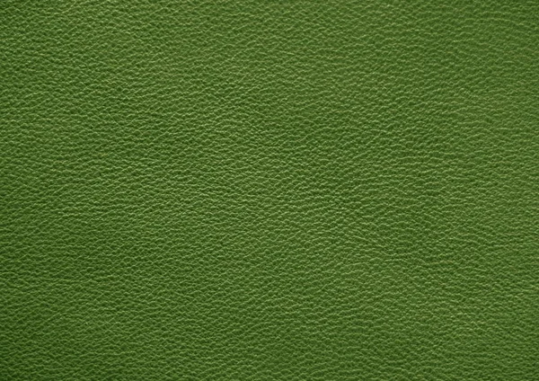 Natural leather texture. Green skin.