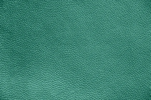 Přírodní Kožená Textura Zelená Kůže — Stock fotografie