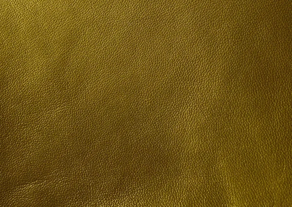 Natural leather texture. Green skin.