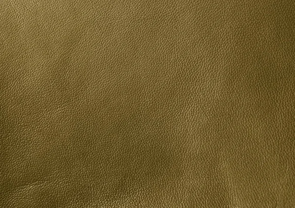 Natural Leather Texture Green Skin — Stock Photo, Image