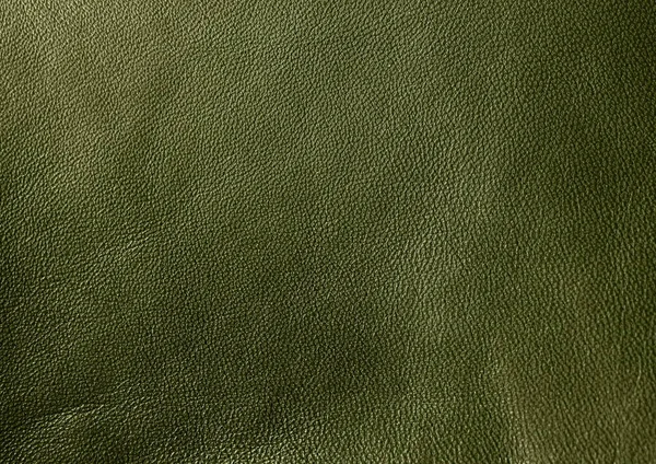 Natural leather texture. Green skin.