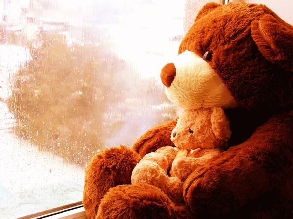 A brown toy bear sits on a window and looks at raindrops on the glass.