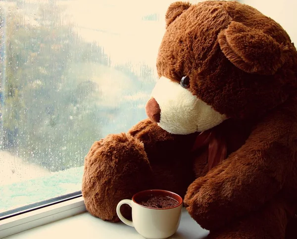 茶色いおもちゃのクマがお茶を飲みながら窓の上に座り ガラスの雨粒を見ています — ストック写真