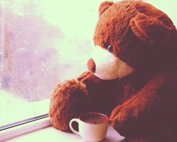 Brown Toy Bear Sits Window Cup Tea Looks Raindrops Glass — Stock Photo, Image