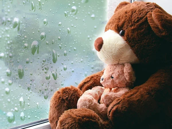 Urso Brinquedo Marrom Senta Uma Janela Olha Para Gotas Chuva — Fotografia de Stock