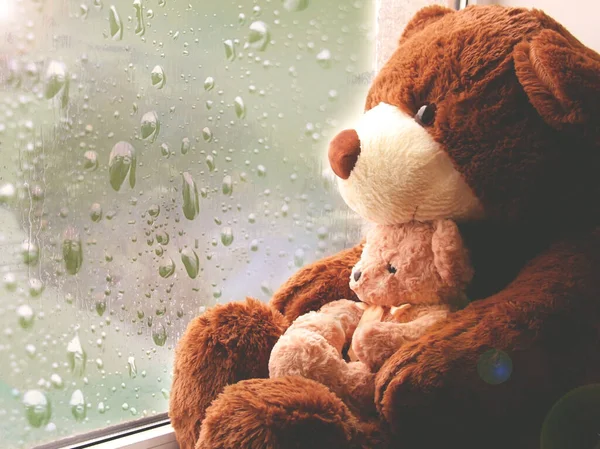 A brown toy bear sits on a window and looks at raindrops on the glass.