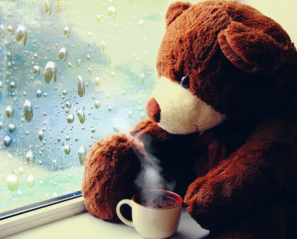 茶色いおもちゃのクマがお茶を飲みながら窓の上に座り ガラスの雨粒を見ています — ストック写真