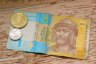 Ukrayna parası. Bir Hryvnia kağıdı ve metal bir para..