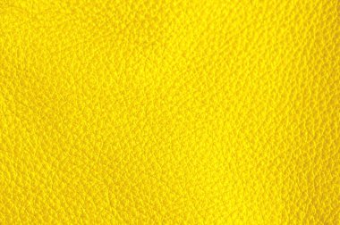 Hakiki deri rengi, yakın plan..