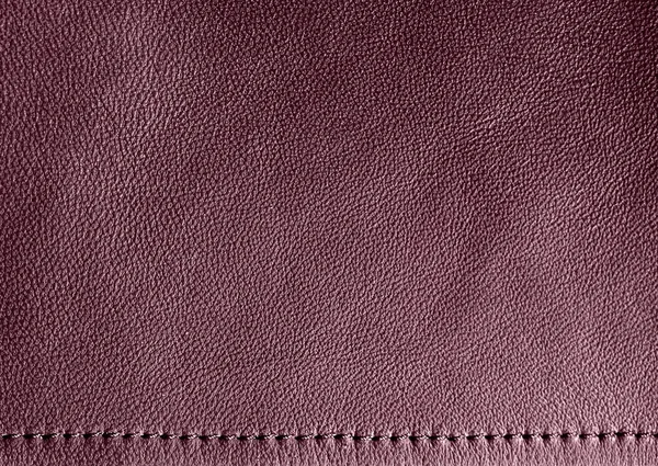 Piel Morada Natural Textura Cuero Violeta — Foto de Stock