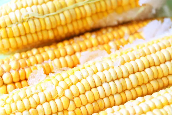 Kukurydza Jest Zamarznięta Zimne Jedzenie Żółte Ziarna Kolb Kukurydziany — Zdjęcie stockowe