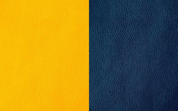 Textura Couro Natural Cores Azul Amarelo — Fotografia de Stock