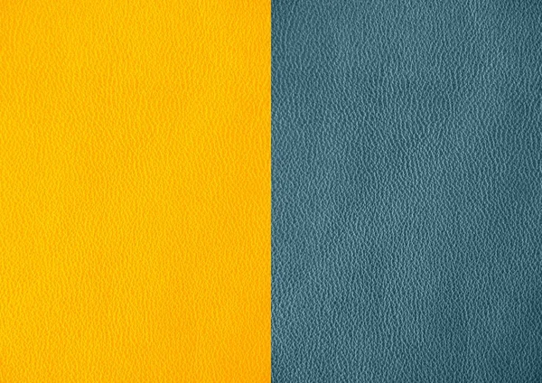Texture Pelle Naturale Nei Colori Blu Giallo — Foto Stock