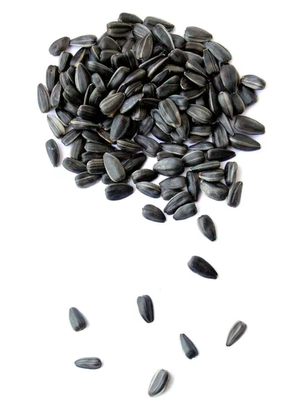 黒い小さなひまわりの種 種子の一握り — ストック写真