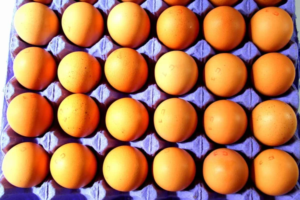 Курячі Яйця Коричневі Фіолетовий Лоток Яйцями Здоровий Сніданок — стокове фото