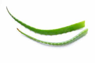 Doğal Aloe. Taze alog dalları. Kozmetik ürünleri. Cilt nemlendirici.