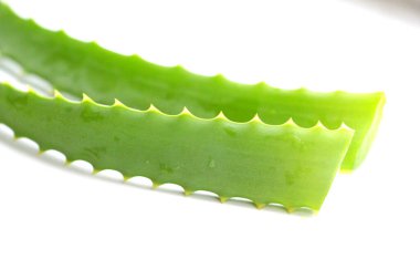 Doğal Aloe. Taze alog dalları. Kozmetik ürünleri. Cilt nemlendirici.