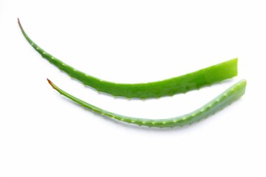 Doğal Aloe. Taze alog dalları. Kozmetik ürünleri. Cilt nemlendirici.