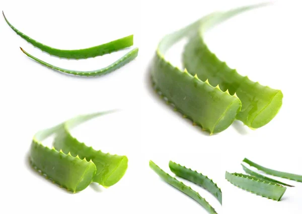 Natürliche Aloe Frische Zweige Von Aloe Inhaltsstoff Kosmetika Feuchtigkeitscreme Für — Stockfoto