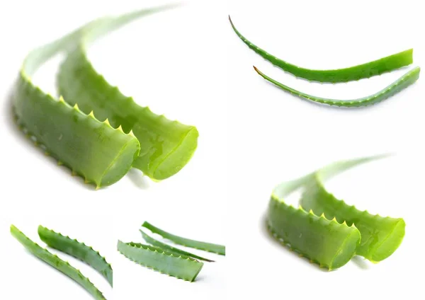 Natürliche Aloe Frische Zweige Von Aloe Inhaltsstoff Kosmetika Feuchtigkeitscreme Für — Stockfoto