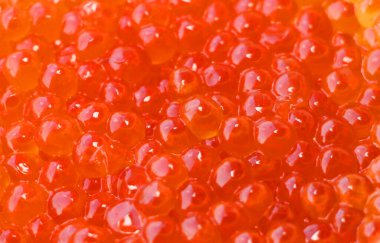 Kırmızı havyar balığı. Pahalı ve gurme yemekler..