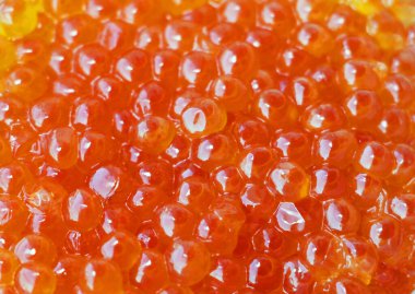 Kırmızı havyar balığı. Pahalı ve gurme yemekler..