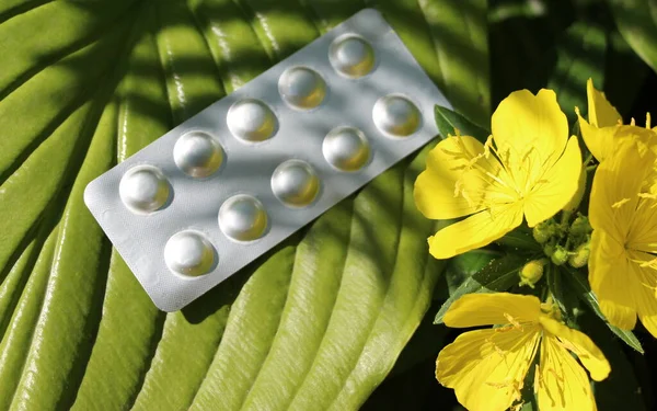 Buborékcsomagolás Tablettákkal Háttérben Virágzó Növények — Stock Fotó