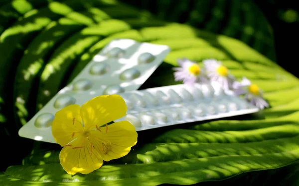 Buborékcsomagolás Tablettákkal Háttérben Virágzó Növények — Stock Fotó
