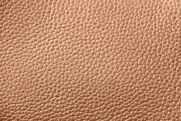 Texture Vera Pelle Sfondo Marrone — Foto Stock