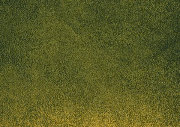 Die Textur Von Echtem Wildleder Grüner Hintergrund — Stockfoto