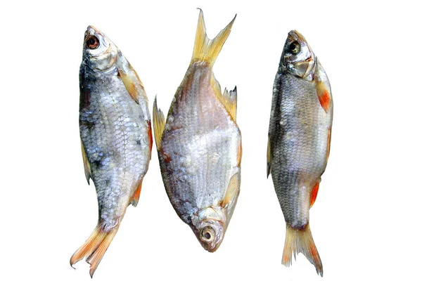 Суха Солона Риба Білому Тлі — стокове фото