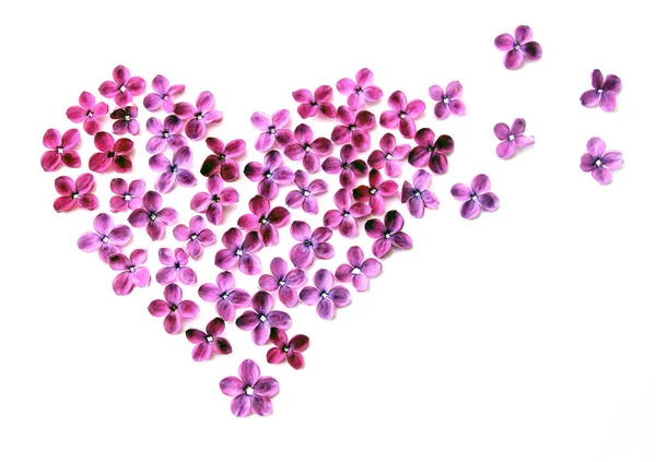 Сердце Натуральных Лиловых Цветов — стоковое фото