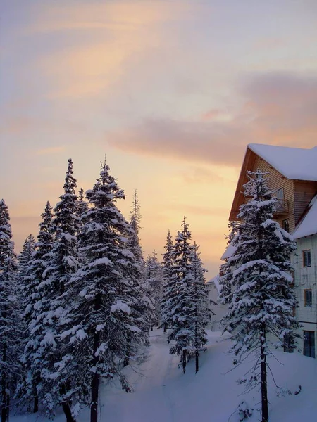 Nas Montanhas Inverno Casa Cárpatos Cottage Ucrânia Paisagem Montesa Árvores — Fotografia de Stock