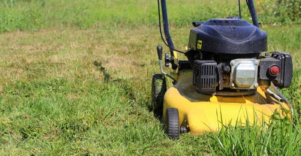 Lawn mower. Mow the lawns. Man mows the grass.