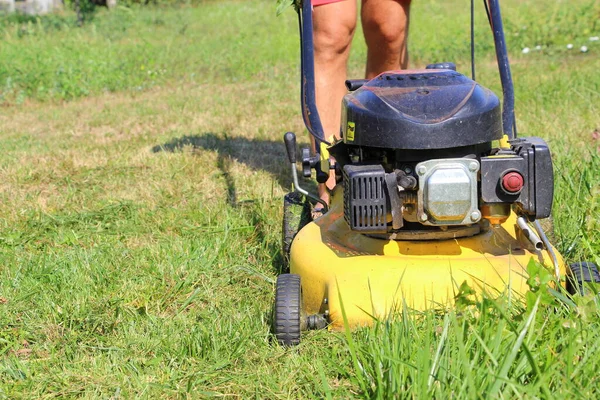 Lawn mower. Mow the lawns. Man mows the grass.