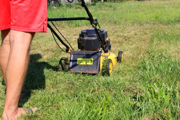 Lawn mower. Mow the lawns. Man mows the grass.