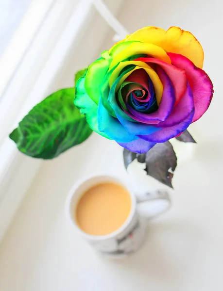 白い窓の上には新鮮なバラが描かれている 花は虹のようです — ストック写真