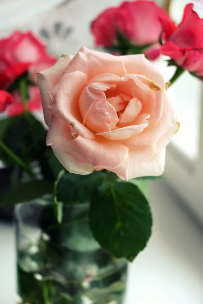 ピンクのバラの花束 新鮮な花だ — ストック写真