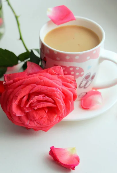 Кофе Молоком Розовый Сад Поднялся Окна — стоковое фото
