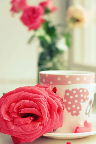 Kaffee Mit Milch Und Rosa Gartenrose Fenster — Stockfoto