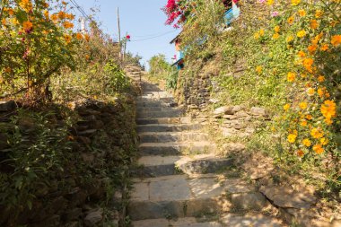 renkli çiçek ve yeşil bitkiler ile taş merdiven