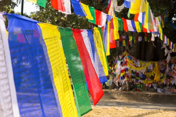 Banderas de oración budistas en Lumbini, Nepal — Foto de Stock